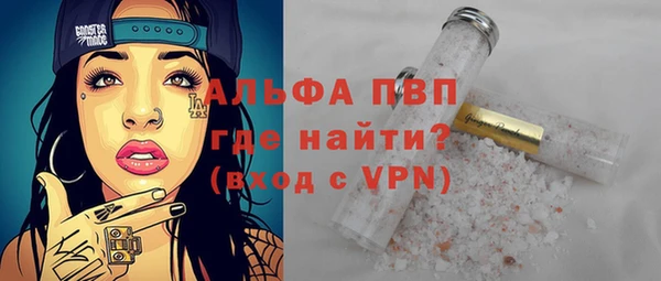 PSILOCYBIN Вяземский