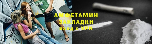 PSILOCYBIN Вяземский