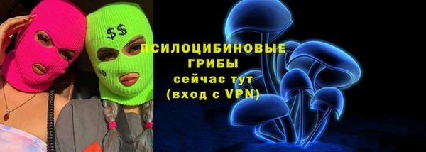 PSILOCYBIN Вяземский