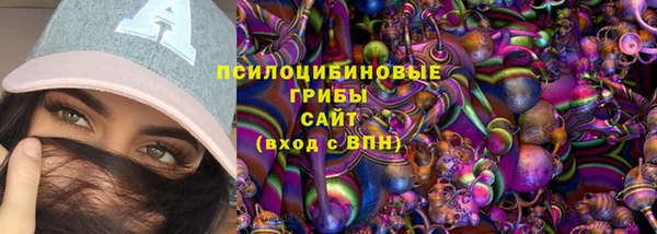 PSILOCYBIN Вяземский