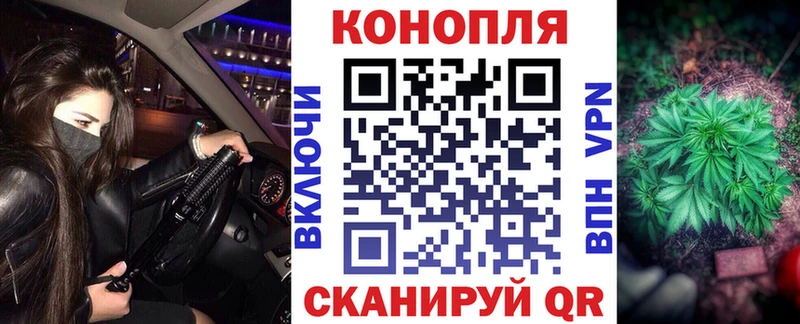 где купить наркоту  Онега  Бошки Шишки планчик 